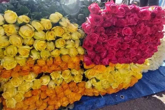 Mercado de Santa Rita inicia venta de rosas y flores por San Valentín