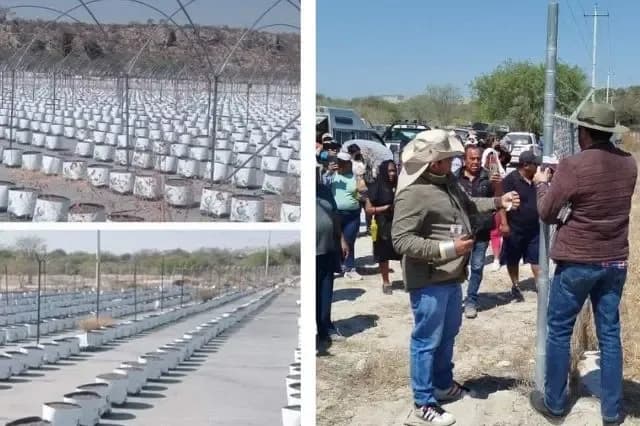 Ecoterra retirará invernaderos en límites de San Gabriel Chilac y Tehuacán