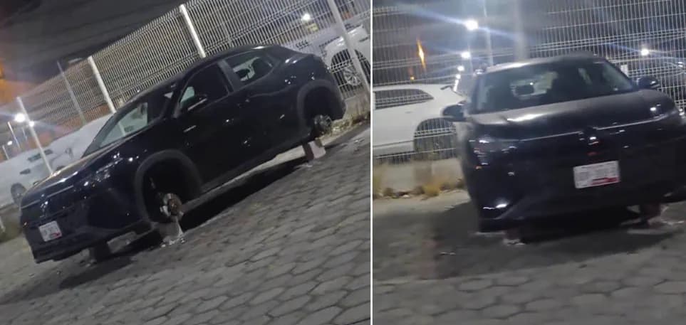 Sobre tabiques dejan camioneta dentro de VW; le robaron las 4 llantas