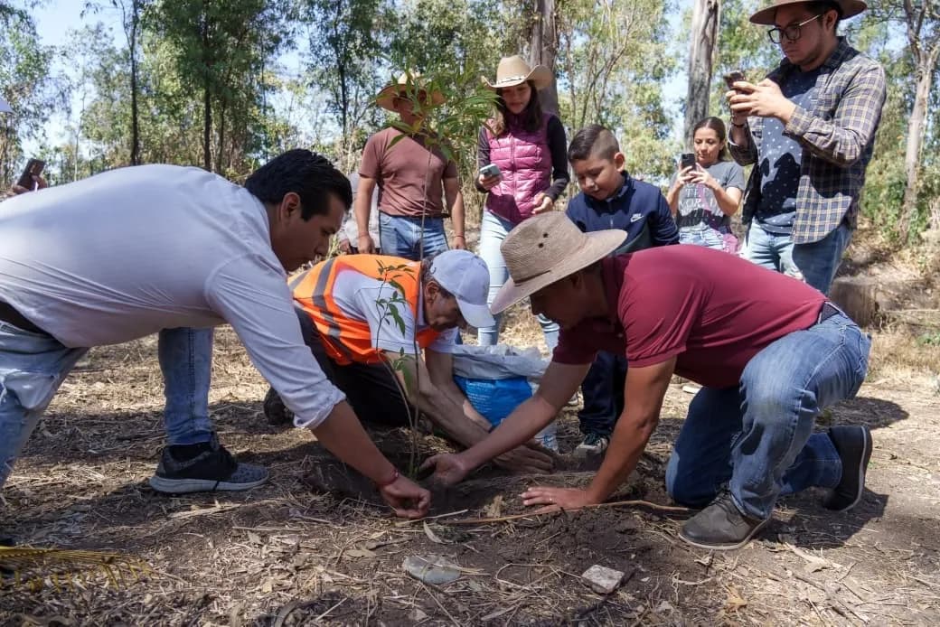 Refuerza gobierno de Pepe Chedraui acciones de reforestación en la capital poblana