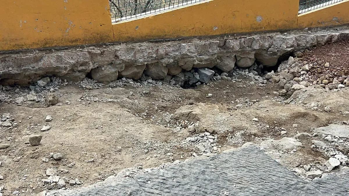 Cholula no puede contra las ardillas; suman 2 años sin reubicarlas