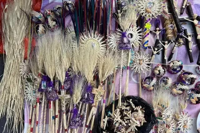 Incendio en Vicente Guerrero provocó alza en costo de palmas