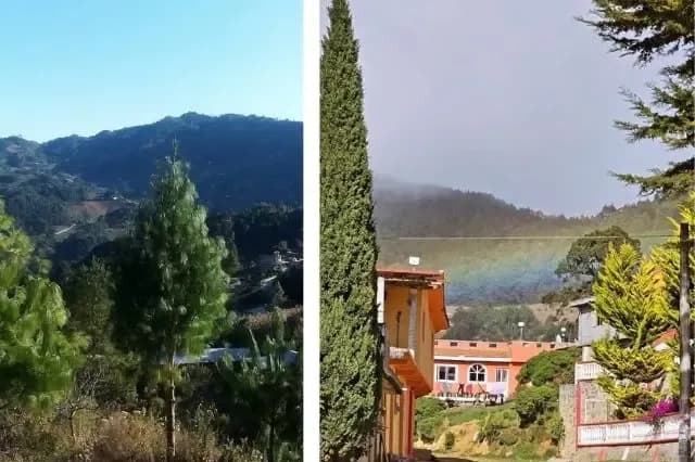 Sierra Negra sigues esperando apoyos federales ante tala e incendios