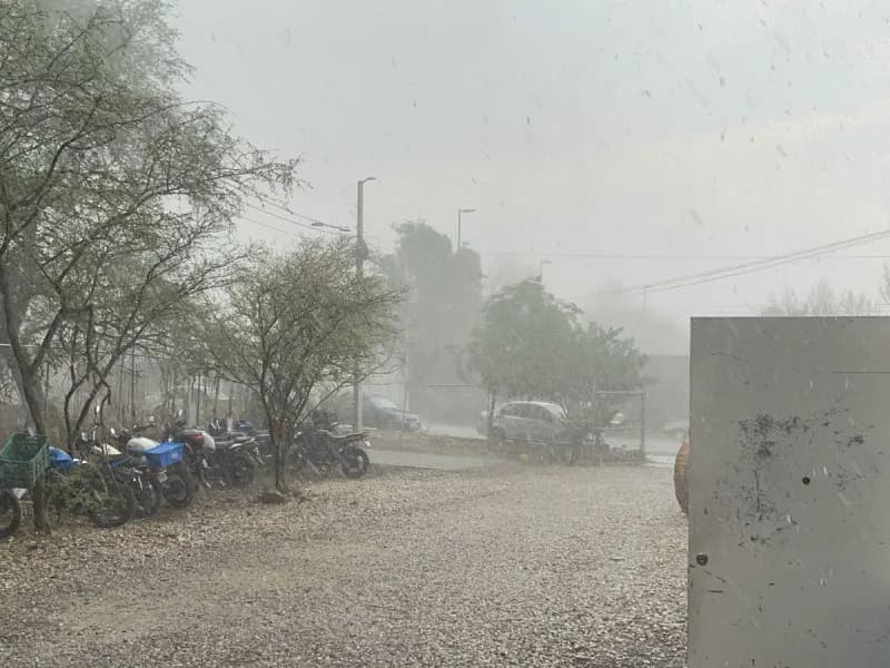 Confirman daños por granizada en 86 hectáreas de Tlacotepec y Tehuacán