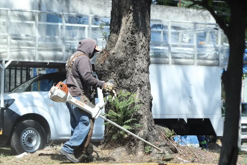 Realizan labores de poda y chapeo en espacios públicos