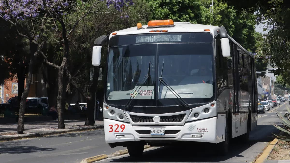 Línea 2 de RUTA, la más activa: 132 mil viajes al día en el 2026