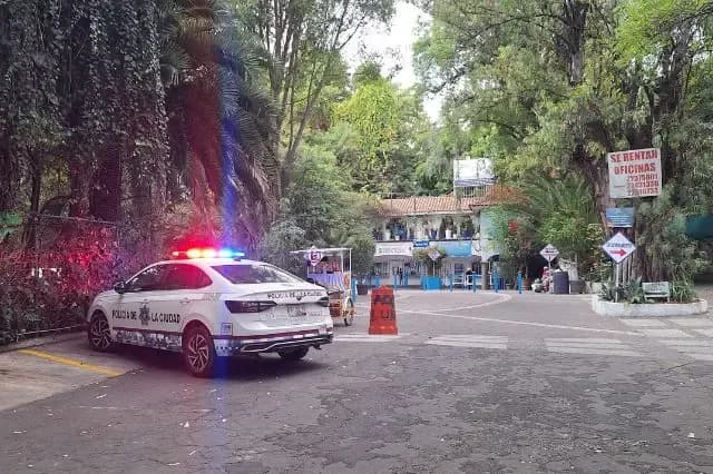 Tragedia en Agua Azul: niño de 10 años muere ahogado en balneario