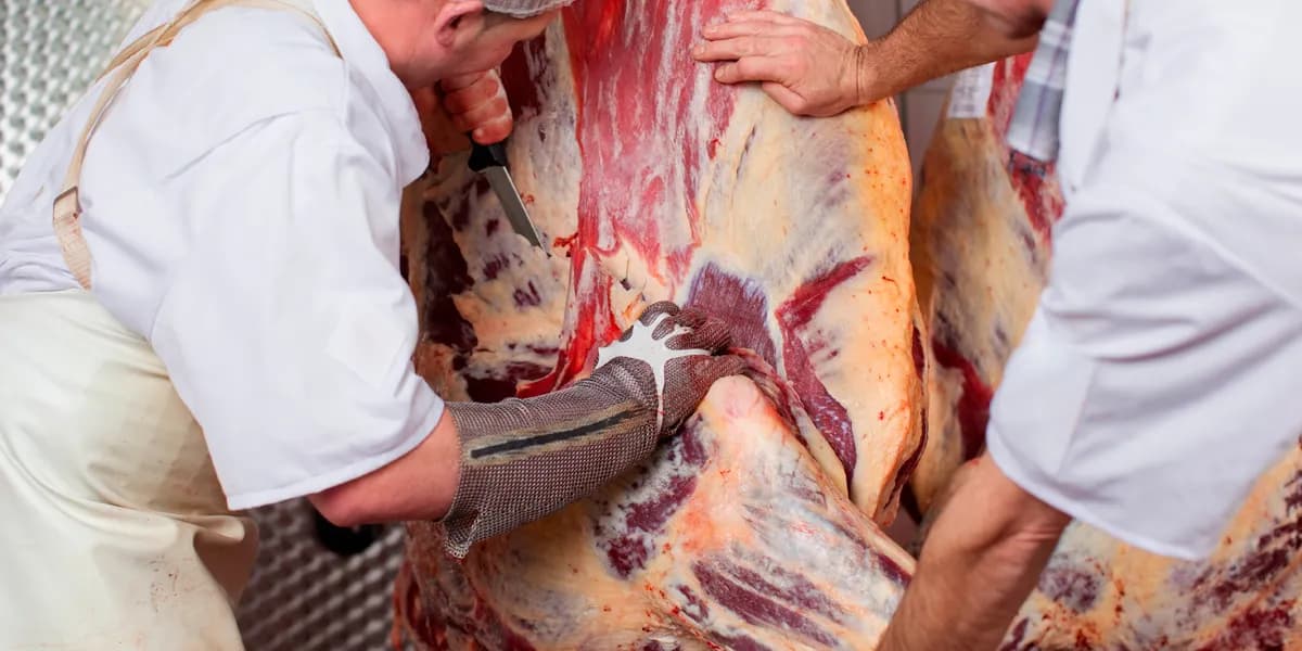 Producción de carne bovina y ovina cae en Puebla este año
