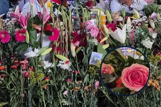 Atlixco alista un millón de rosas para el 10 de mayo; productores piden seguridad