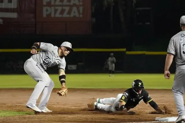 Pericos termina con racha de victorias tras caer ante Tigres