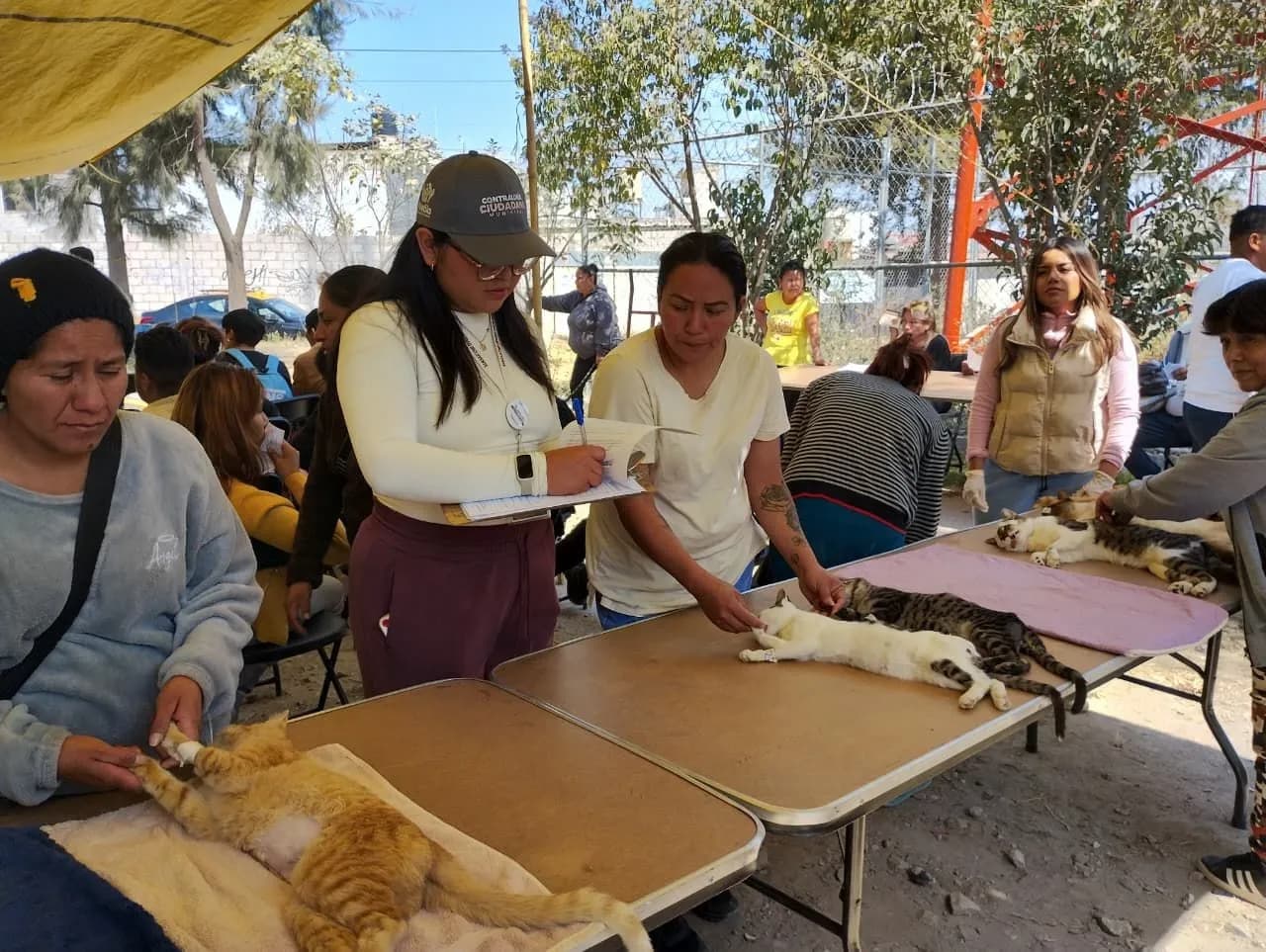 Fortalecen la mejora de servicios mediante verificaciones ciudadanas