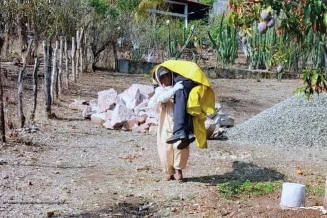 Rescatan a adulto mayor atacado por abejas en Chiautla