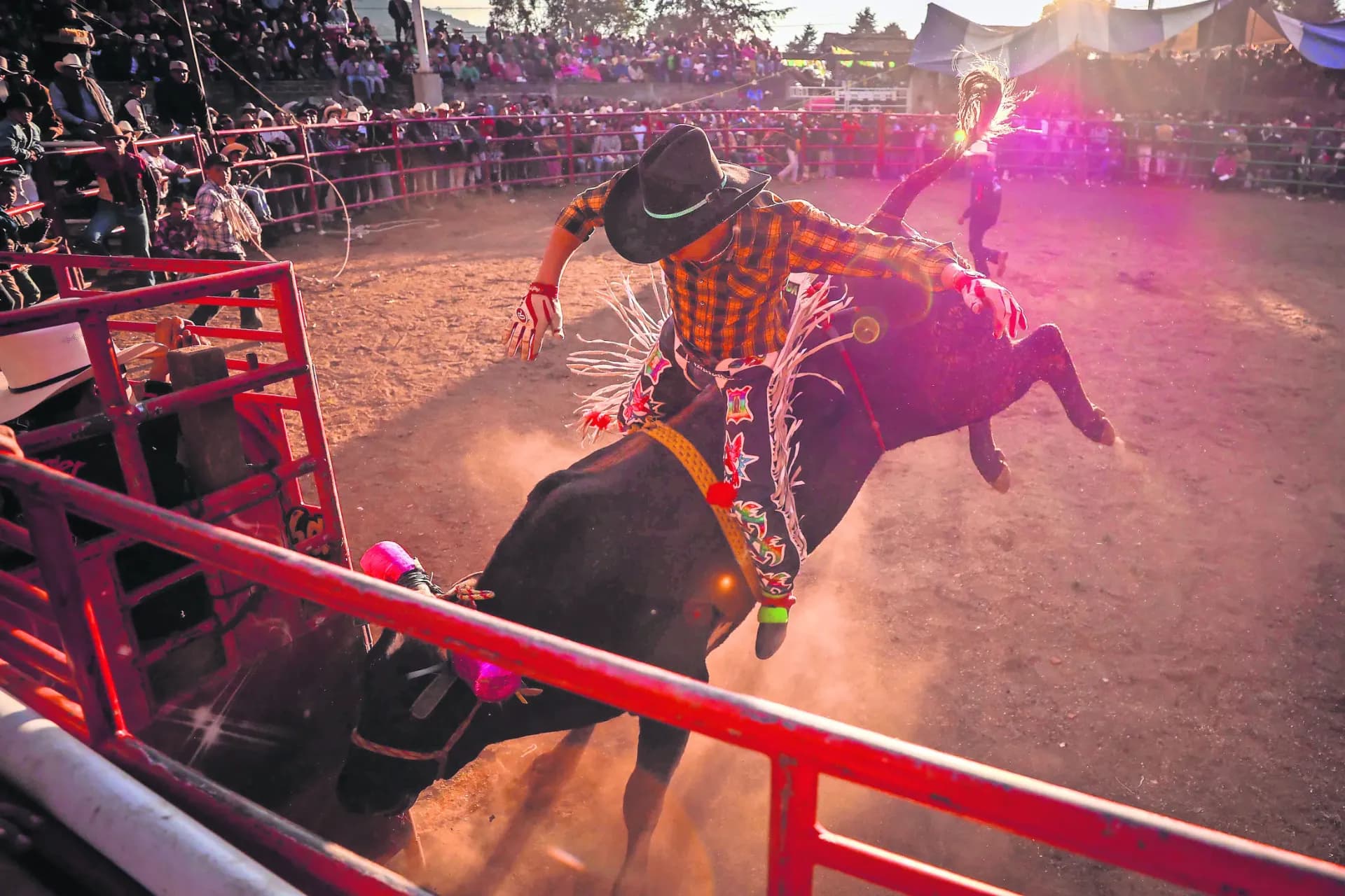 Atlixco busca reducir jaripeos en colonias por riñas y consumo de alcohol
