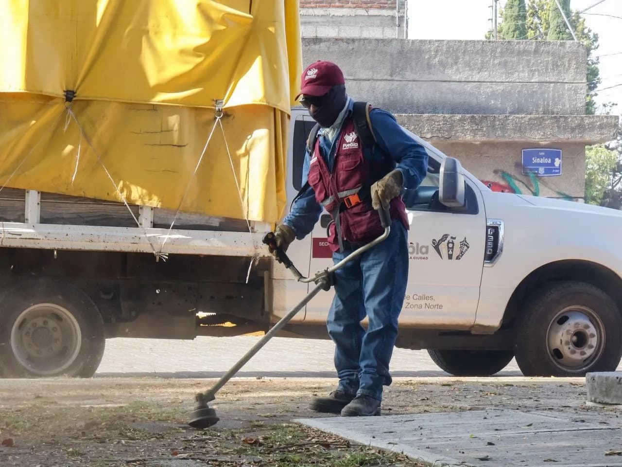Fortalecen acciones de poda y chapeo en la capital