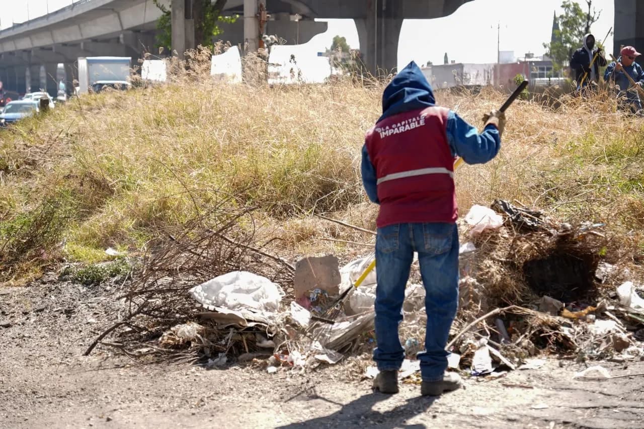 Refuerzan mantenimiento en bajo puentes de la capital