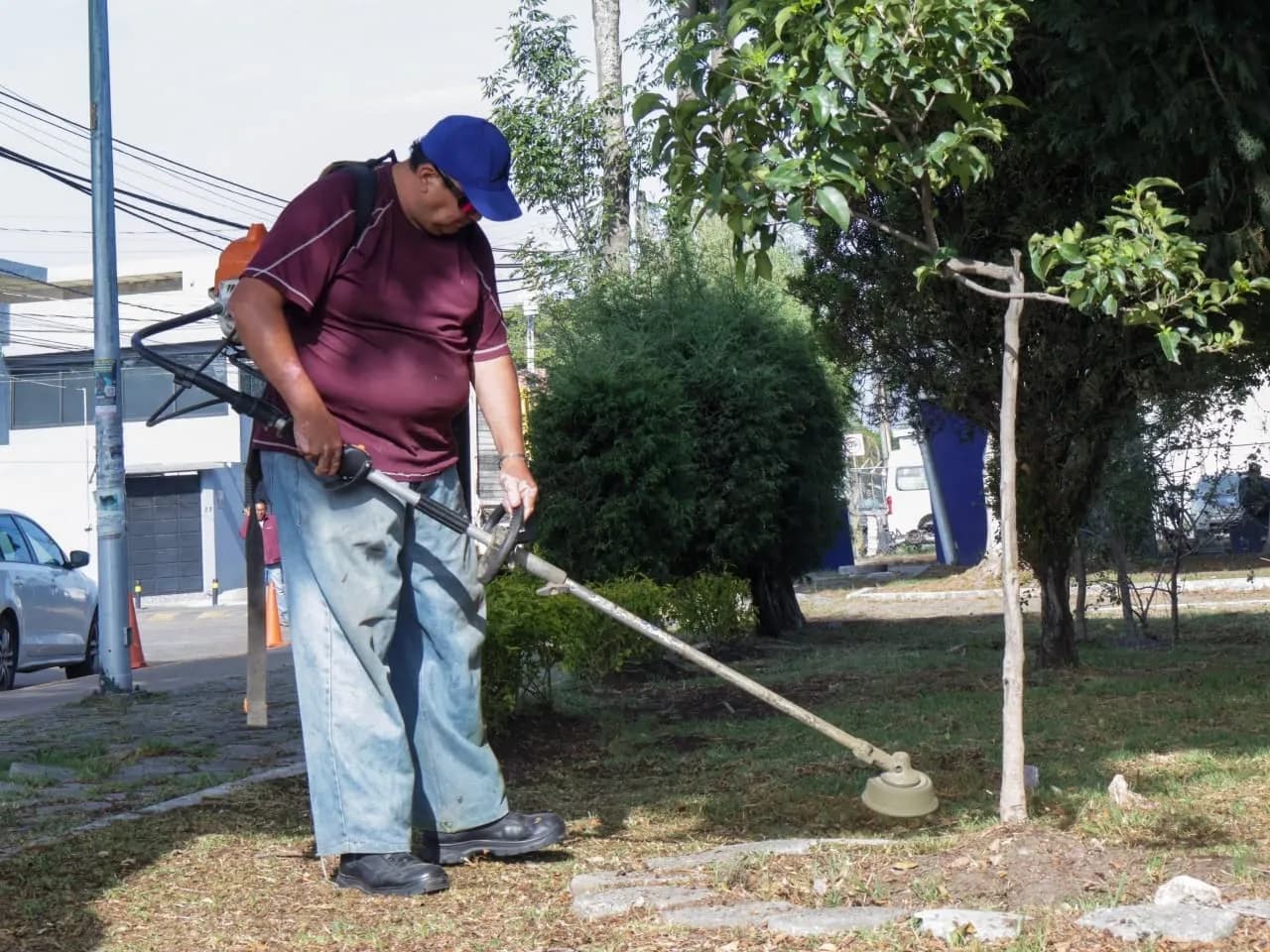 Continúan con supervisión del mantenimiento en parques y áreas verdes de la capital
