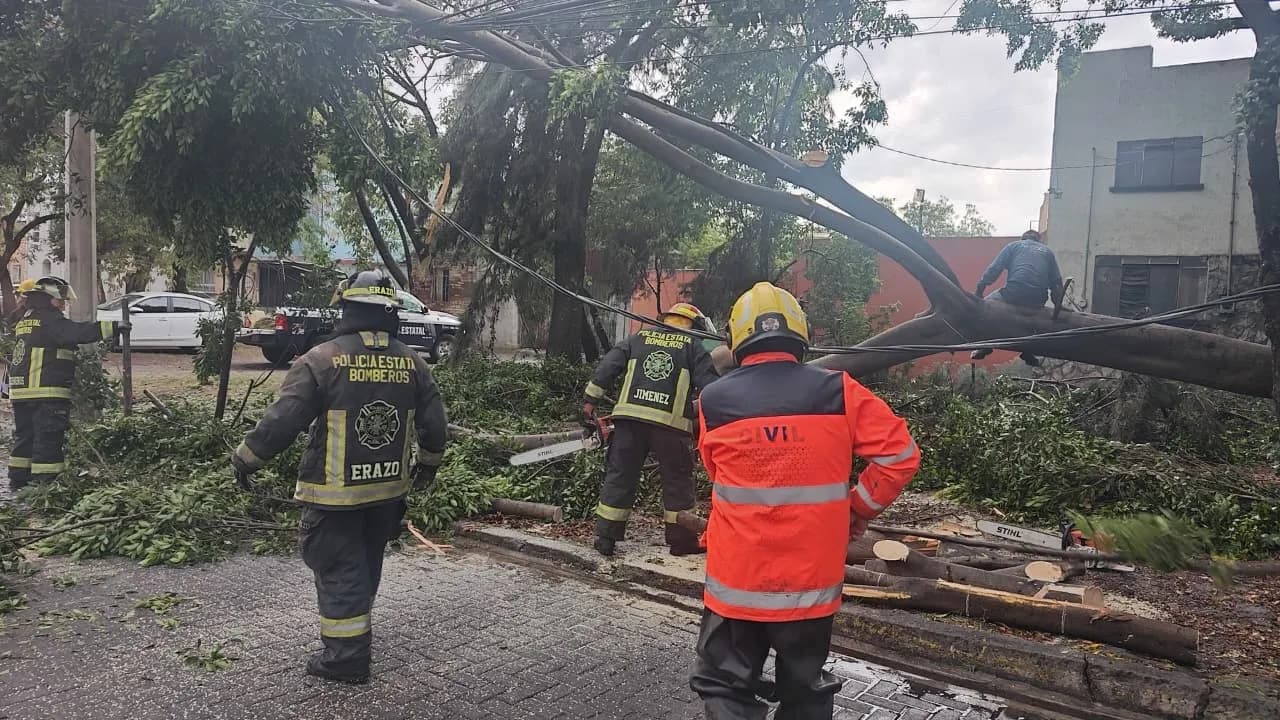 Atienden incidencias por lluvias y vientos