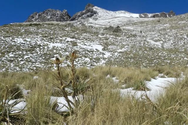 Hallan restos óseos y ropa en las faldas de La Malinche