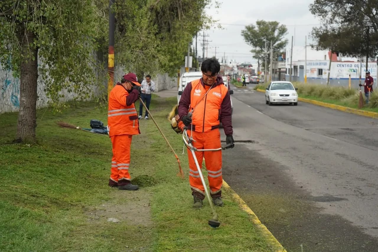 Realizan jornada de limpieza y chapeo en el Seminario Palafoxiano