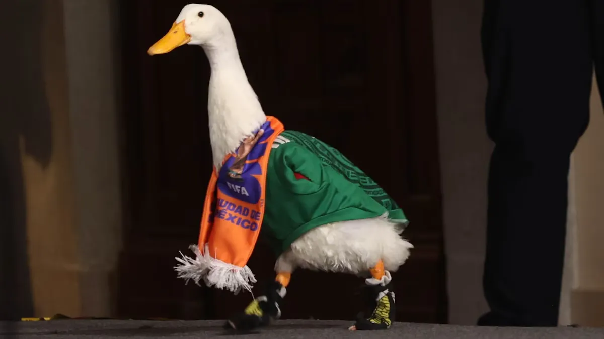 Pato Merlín registra su marca ante el IMPI tras volverse viral en el Mundial 2026