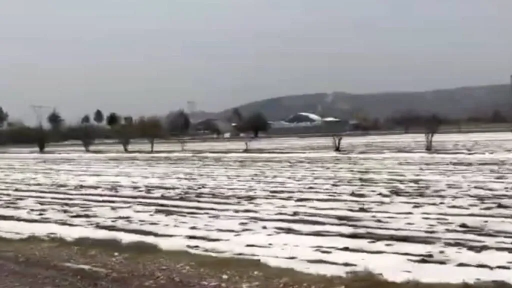 Granizada sorprende y cubre de blanco cultivos en municipios de Puebla