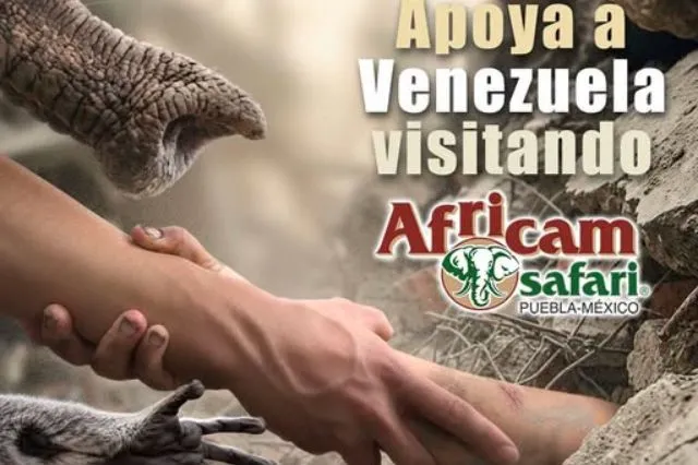 Africam Safari convertirá cada boleto en ayuda para Venezuela