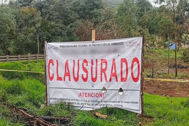 Profepa frena loteo ilegal en bosque de Zacatlán