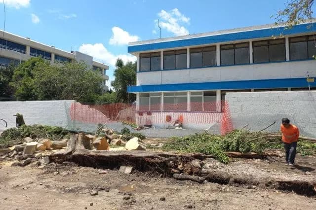 Lluvias dañan 55 escuelas y cultivos de tres municipios en Puebla