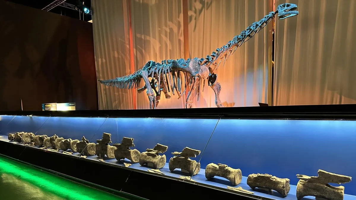 Descubren en España el primer diplodocus identificado fuera de Norteamérica