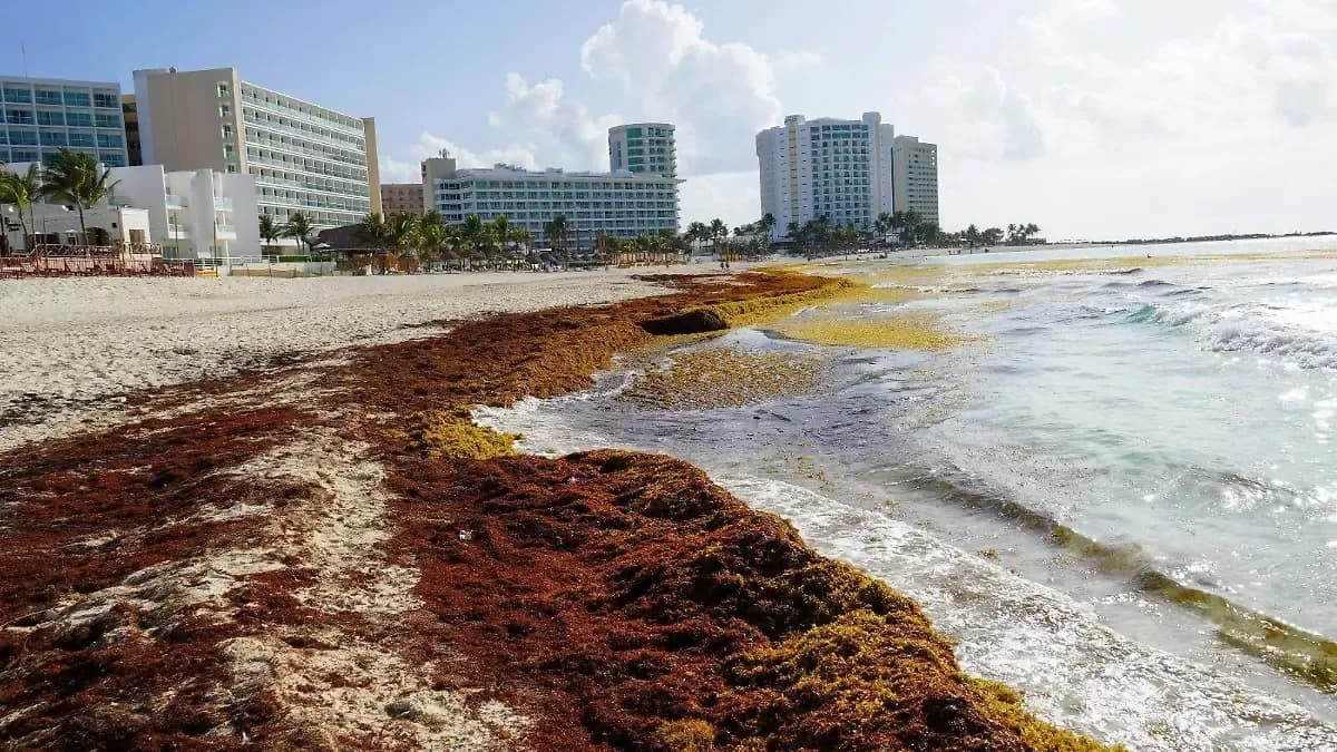 Hoteles mexicanos cambian su operación ante calor, huracanes y sargazo