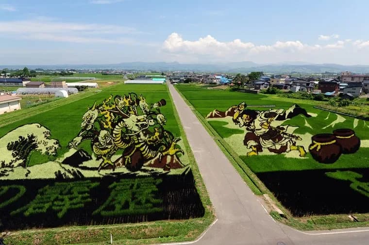 En Japón convierten campos de arroz en dibujos gigantes