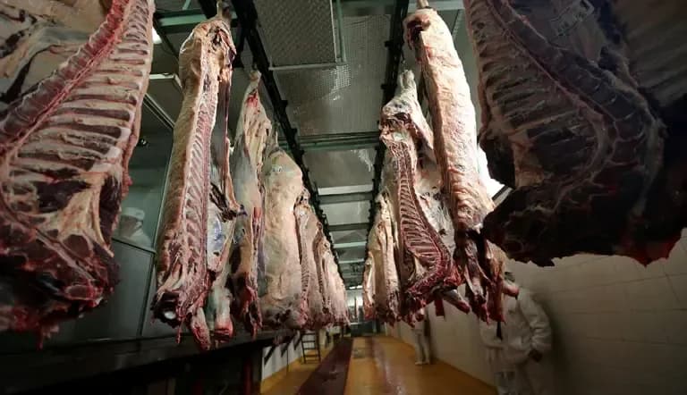 Japón volverá a comprar carne argentina después de 20 años