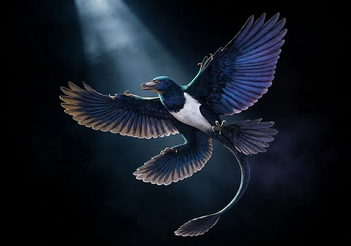 Nuevo hallazgo cambia lo que creíamos sobre el vuelo de dinosaurios y aves