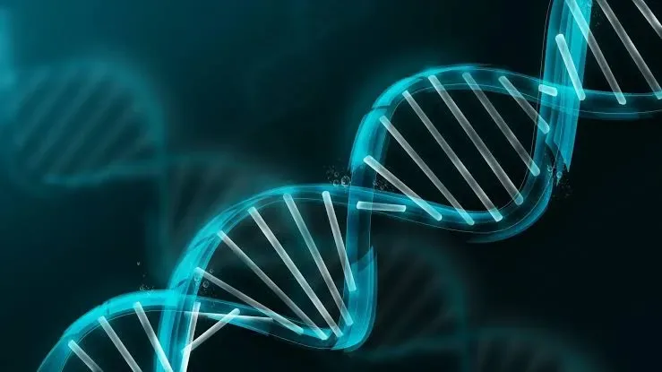 Nuevas notas reabren la historia del descubrimiento del ADN