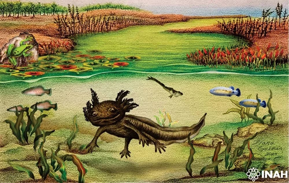 Una salamandra de cuatro millones de años entra al registro científico mexicano
