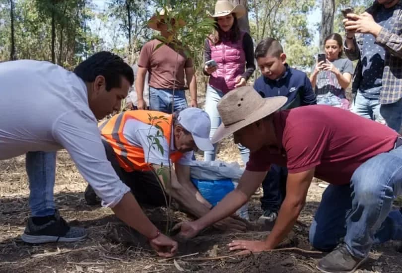 Más de 100 mil árboles han sido plantados con programa del Ayuntamiento de Puebla