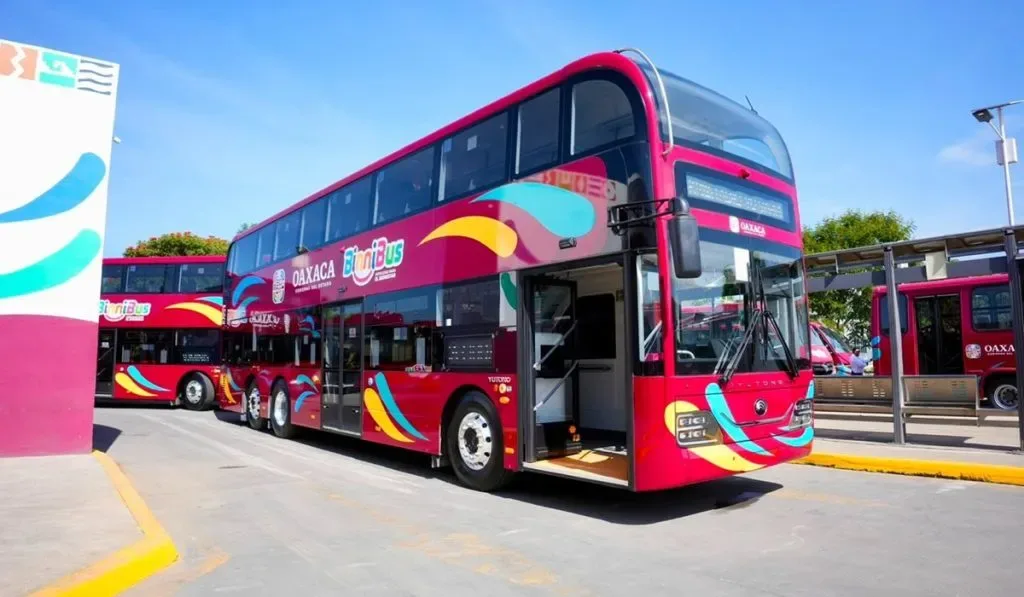 Oaxaca incorpora cuatro autobuses eléctricos al sistema BinniBus