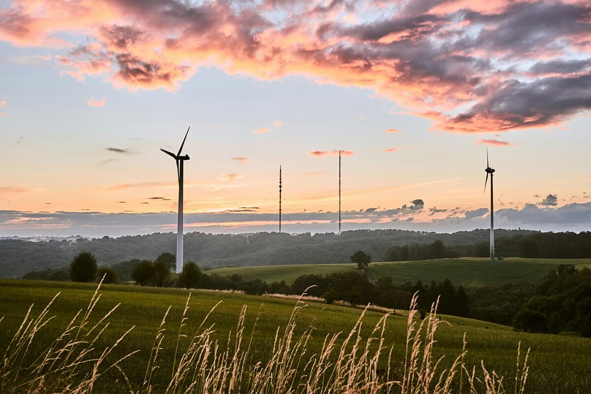 La energía eólica en Galicia se enfrenta a un viento en contra: barreras legales y sociales que amenazan el futuro