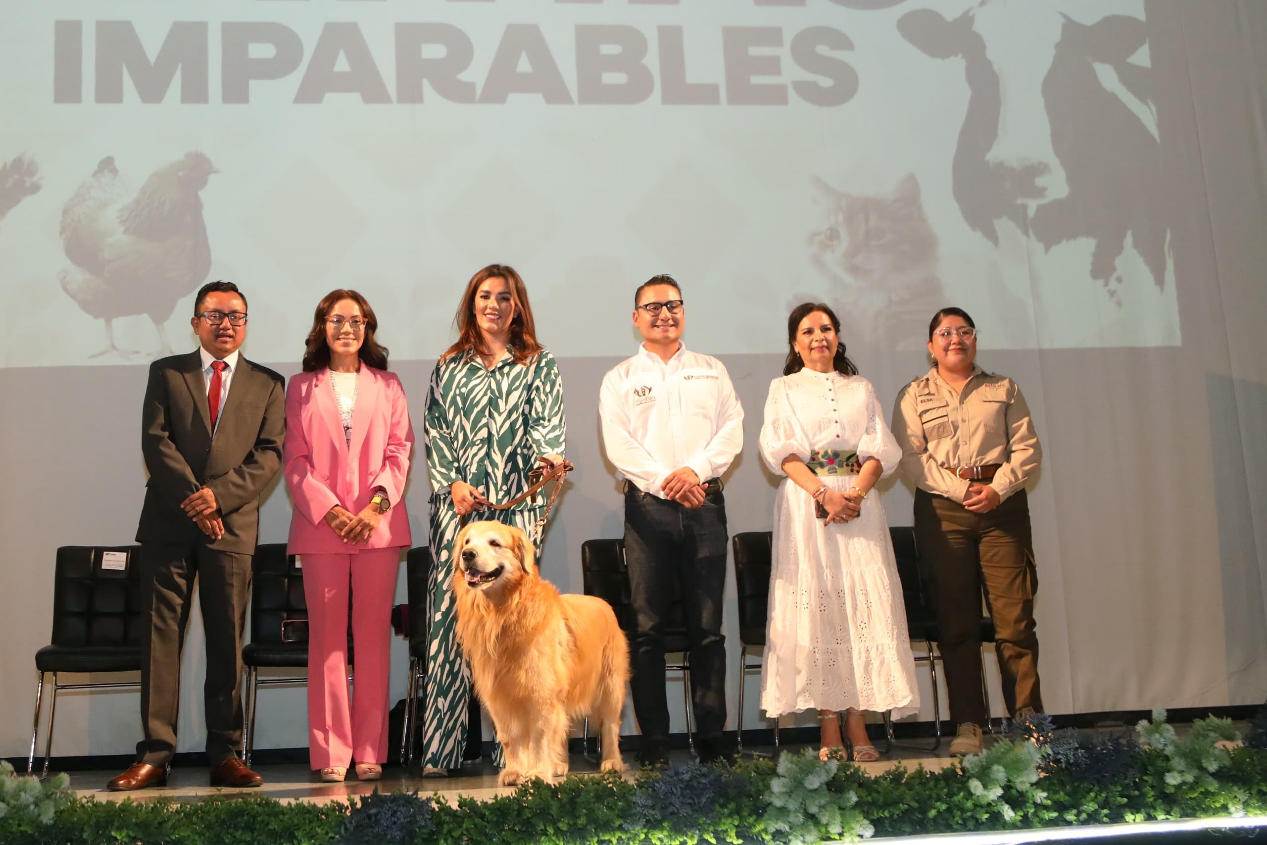 Puebla capital refuerza acciones contra el maltrato animal con el foro “Patitas Imparables”