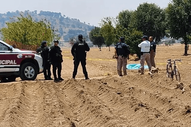 Hallan cuerpo de mujer en campos de cultivo de Cholula
