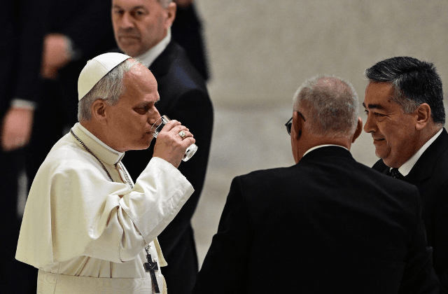 León XIV ofrece su mediación para poner fin a los conflictos en todo el mundo