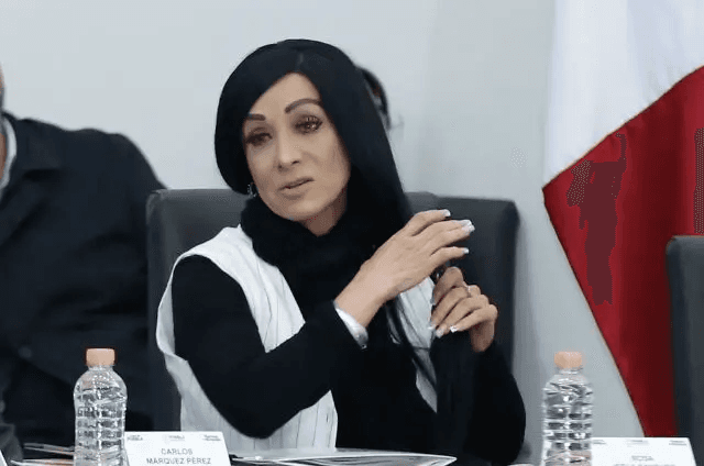Nos vemos obligados a analizar ciberasedio: presidenta de la CDH Puebla