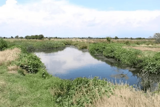 Denuncian contaminación de laguna cerca del relleno de Cholula