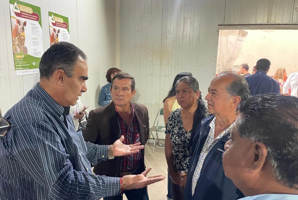 Refuerza Gobierno de la Ciudad acciones para prevenir la propagación del gusano barrenador
