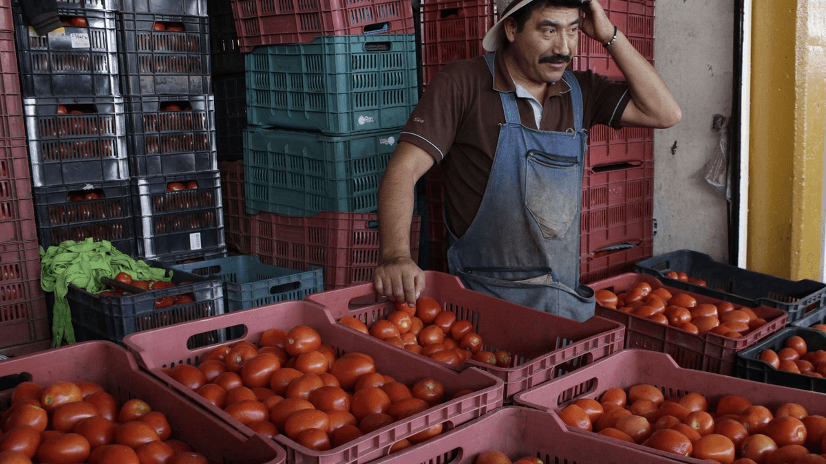 ¿Cuáles fueron los alimentos y productos que más se encarecieron en Puebla?