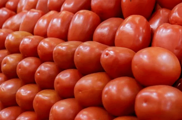 Termina acuerdo y EUA cobra 17% de arancel al jitomate mexicano