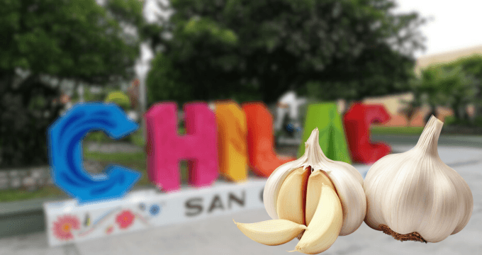 Buscan reconocer a San Gabriel Chilac como capital del ajo