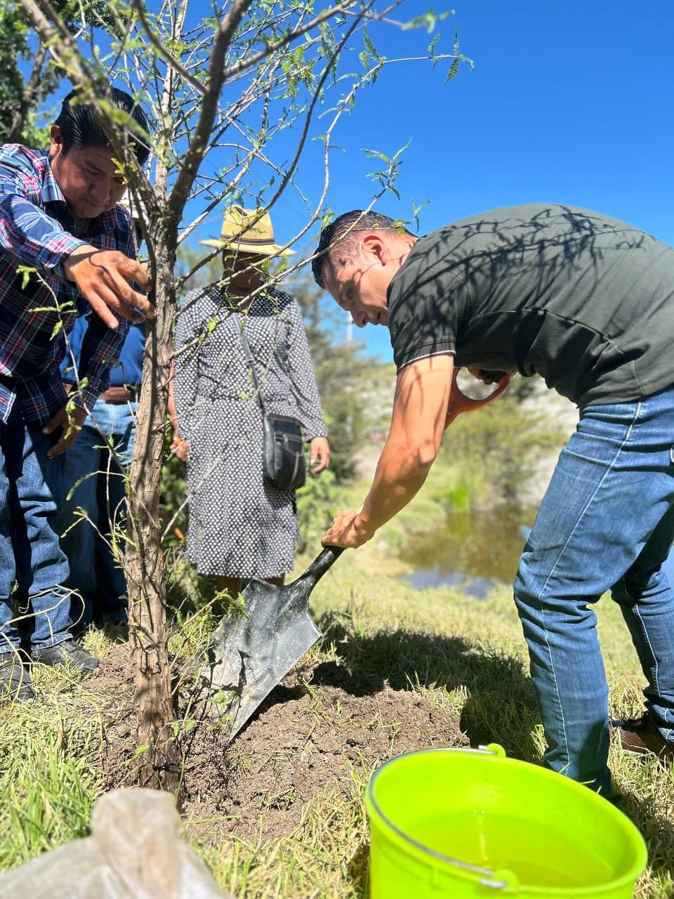 Gobierno de Pepe Chedraui suma 530 nuevos árboles con el programa Raíces del Futuro