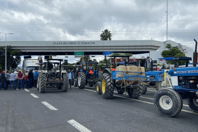 Productores de maíz exigen frenar transgénicos y mejor precio