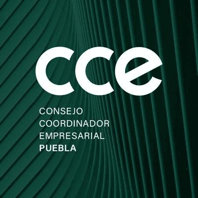 Dos perfiles, interesados en la presidencia del CCE Puebla